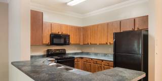 Angel Landing Gallery 4