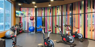 AVA North Point Gallery 27