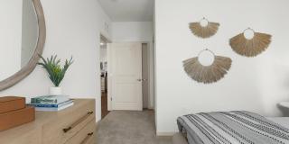 Livano Nature Coast Gallery 80