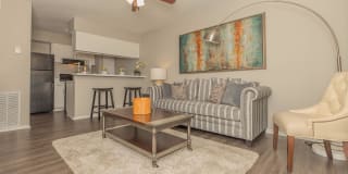 Ladera Ranch Gallery 1