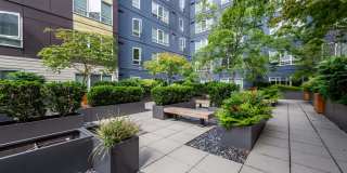 Kirkland Crossing Gallery 1