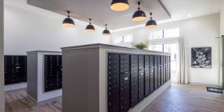 Prose on the Range Gallery 29