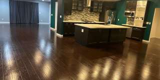 True Beauty! SOLAR Gallery 6