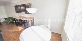 Aspen Pines Gallery 41