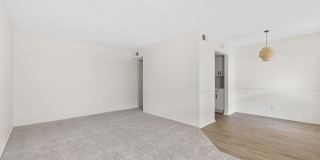 The Riverview Gallery 19