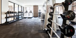 Faraday Park Gallery 36