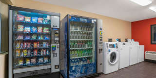 San Jose - Edenvale - South Gallery 29
