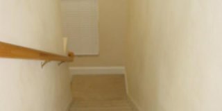 539 HEDGEWOOD Drive Gallery 17