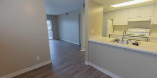 Greenback Gardens Gallery 15