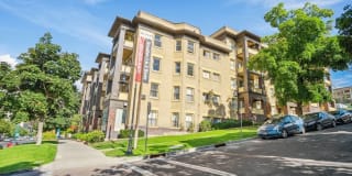 ReNew on Temple ReNew on Temple Gallery 38