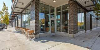 Westline Gallery 33