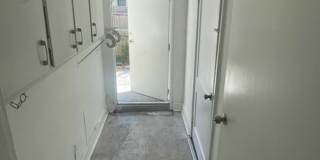3 BR/1BA | Newly Renovated Single Family Home | Gated backyard | In South Tampa! Gallery 11