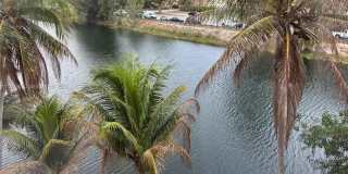 8305 SW 152 AV Gallery 36