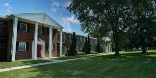 The Dorchester Gallery 19