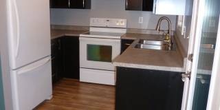 Evergreen St/1032 Gallery 1