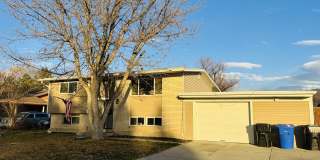 4459 Butterfield Street Gallery 19