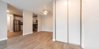 Village at Sota Gallery 33