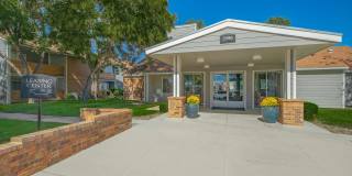 Wind Tree Gallery 16