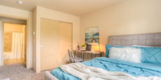 Seasons at Lea Hill Gallery 20