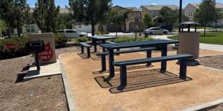 16458 Globetrotter Gallery 47