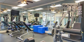 Avana Cumberland Gallery 18