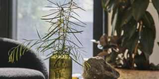 5918 Monte Vista St Gallery 17