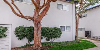 Sandpointe Cove Apartment Homes Gallery 23