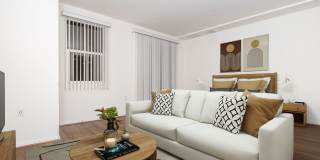 Vineyards Gallery 144