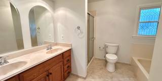7827 BOLD LION Lane Gallery 19
