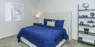 Rise Midtown Apartments Gallery 49