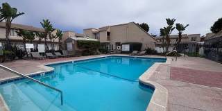 2920 Camino Capistrano Gallery 47