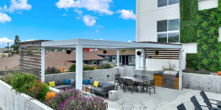 The Perch Apartments Gallery 5