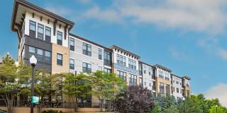 The Alcott Gallery 22