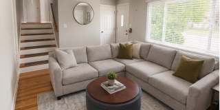 51 White Terrace Gallery 3