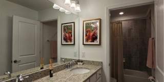 11299 Shady Blossom Drive Gallery 12