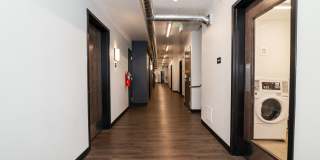 Nexus @ Downing Gallery 15