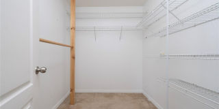 1704 BUCKEYE FALLS WAY Gallery 22