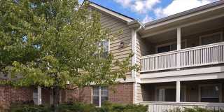 63 Aster Drive unit: 1824 Gallery 1