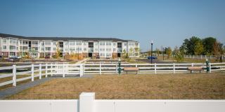 The Links at Gleneagles Gallery 6