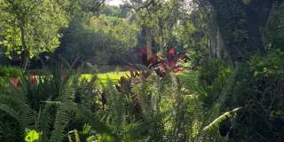 108 PINEHURST DRIVE Gallery 15
