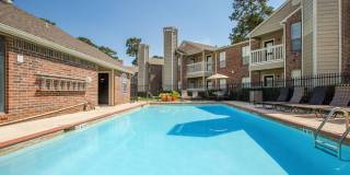 Pine Hills Gallery 15