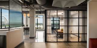 Olive Gallery 16