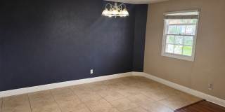 1/1 Lakefront Living in Carrollwood! Available July 10th! Gallery 5