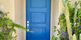 49305 Rio Arenoso Gallery 9