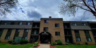 Silver Pines Gallery 1