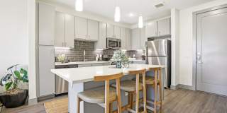 The Anderson Gallery 17