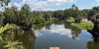 804 PALM HARBOR COURT Gallery 27