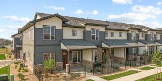 Mangold831 (KC-LN) Gallery 8