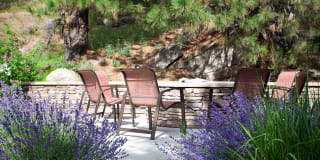 Pine Valley Ranch Gallery 22