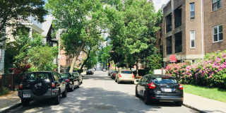 Fully Renovated 3-Bedroom Unit in Prime Ashmont Location w/ Parking Gallery 3